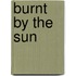 Burnt by the Sun
