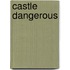 Castle Dangerous