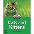 Cats And Kittens