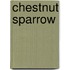 Chestnut Sparrow