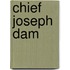 Chief Joseph Dam