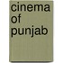 Cinema of Punjab
