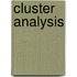 Cluster Analysis