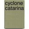 Cyclone Catarina door Ronald Cohn