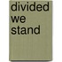 Divided We Stand