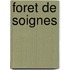 Foret de Soignes