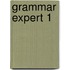Grammar Expert 1