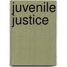 Juvenile Justice door Tory J. Caeti