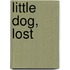 Little Dog, Lost