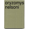 Oryzomys Nelsoni door Ronald Cohn