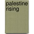 Palestine Rising