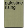 Palestine Rising door Dawud A. Assad
