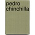 Pedro Chinchilla