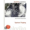 Typhoon Tingting door Ronald Cohn