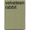 Velveteen Rabbit door Margery Williams Bianco