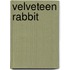 Velveteen Rabbit