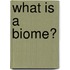 What Is A Biome?
