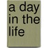 A Day in the Life