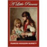 A Little Princess door Hodgson Burnett Frances