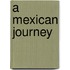 A Mexican Journey