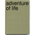 Adventure of Life