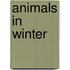 Animals In Winter