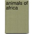 Animals Of Africa