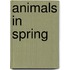 Animals in Spring