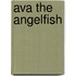 Ava the Angelfish
