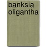 Banksia Oligantha door Ronald Cohn