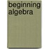 Beginning Algebra