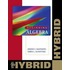 Beginning Algebra