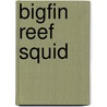 Bigfin Reef Squid by Ronald Cohn