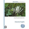 Clavaria Fragilis by Ronald Cohn