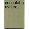 Coccoloba Uvifera door Ronald Cohn