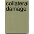Collateral Damage