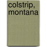 Colstrip, Montana by Ronald Cohn