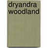 Dryandra Woodland by Ronald Cohn