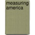 Measuring America