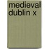 Medieval Dublin X