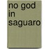No God in Saguaro