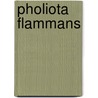 Pholiota Flammans door Ronald Cohn
