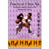 Practical Chin Na by Zhao Da Yuan
