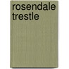 Rosendale Trestle by Ronald Cohn