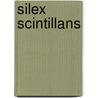 Silex Scintillans door Henry Vaughan