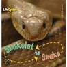 Snakelet To Snake by Camilla De La Bedoyere