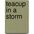 Teacup in a Storm