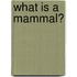 What Is a Mammal?