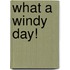 What a Windy Day!