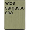 Wide Sargasso Sea door Jean Rhys